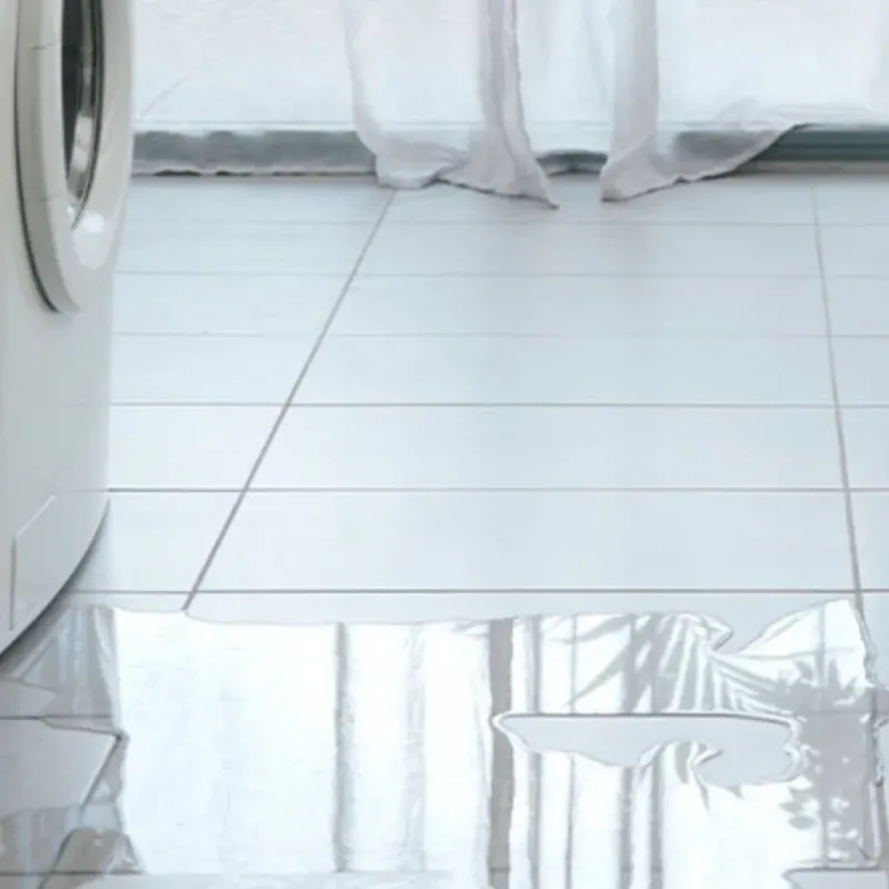 Appliance Leak Cleanup in Hillcrest, IL