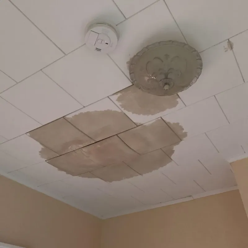Ceiling Water Damage Repair in Hillcrest, IL