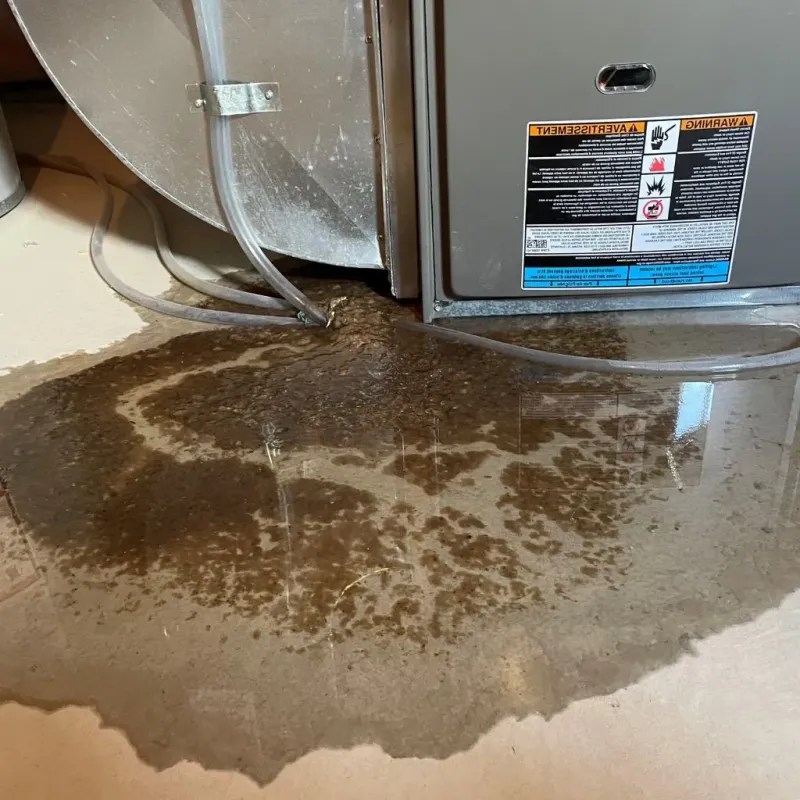 Pipe Burst and Leak Restoration in Hillcrest, IL