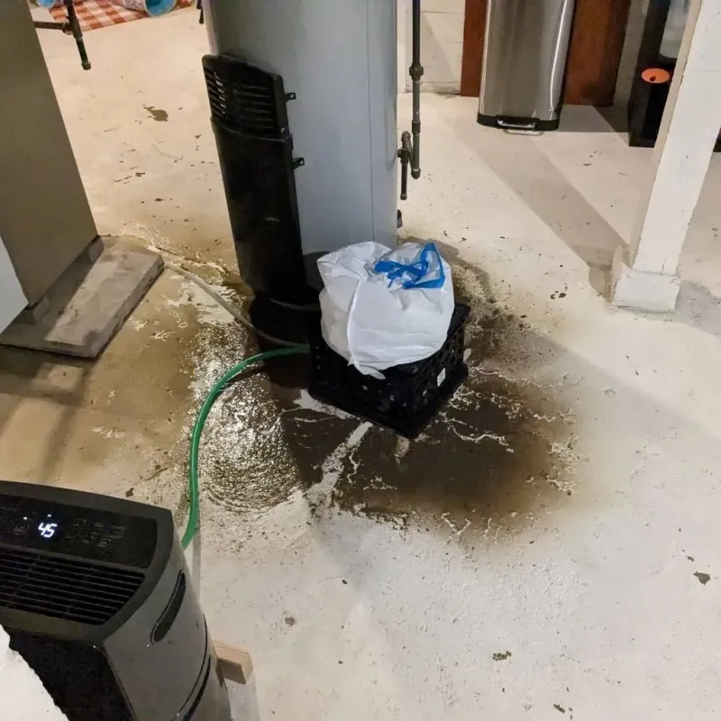 Sewage Backup Cleanup Service in Hillcrest, IL